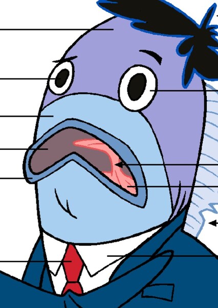 Announcer fish