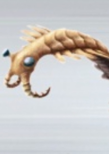 Anomalocaris photo