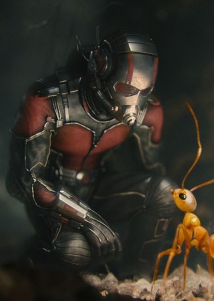 Ant-Man/Scott Lang (Marvel Cinematic Universe) photo