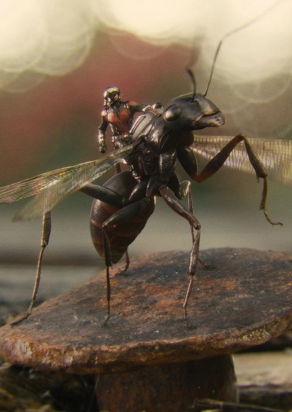 Ant-thony photo