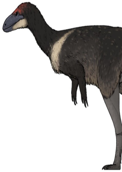 Anteavis