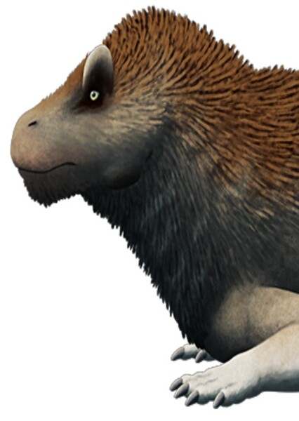 Anteosaurus