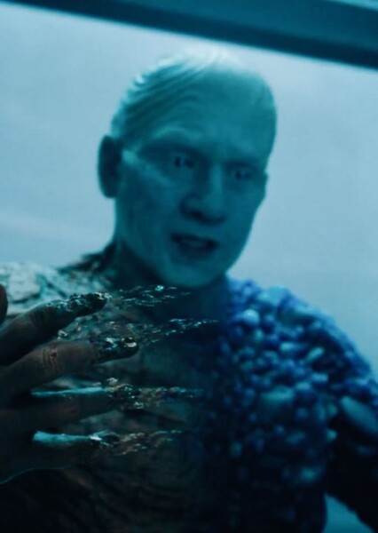 Metamorpho