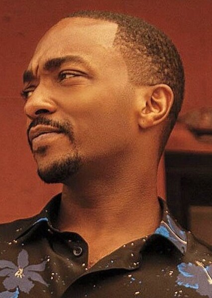 Anthony Mackie photo