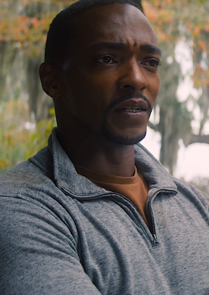 Anthony Mackie photo
