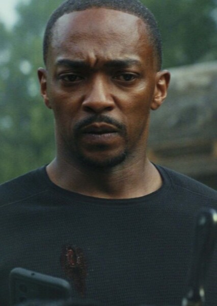 Anthony Mackie photo