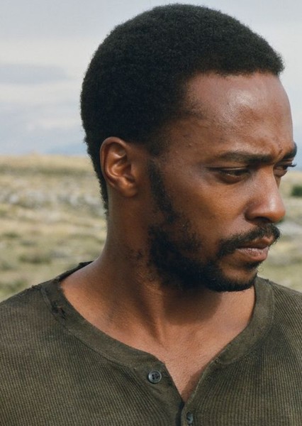 Anthony Mackie photo