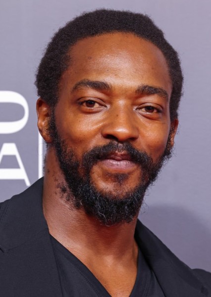 Anthony Mackie photo
