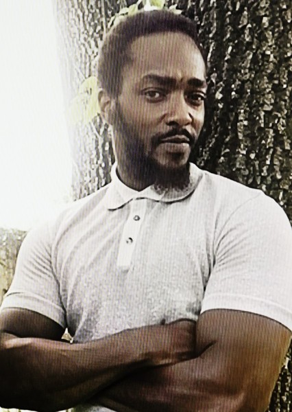 Anthony Mackie photo