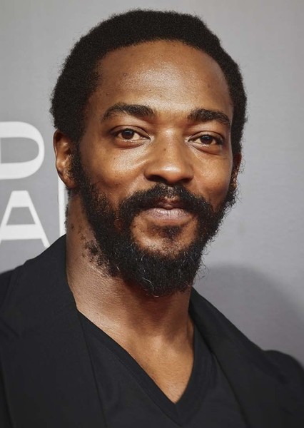 Anthony Mackie photo