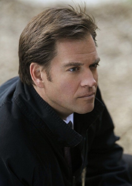Anthony "Tony" DiNozzo (NCIS) photo