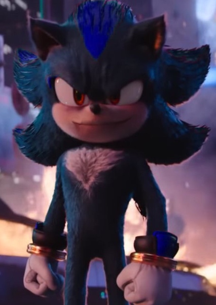 Anti-Kaleb the Hedgehog photo