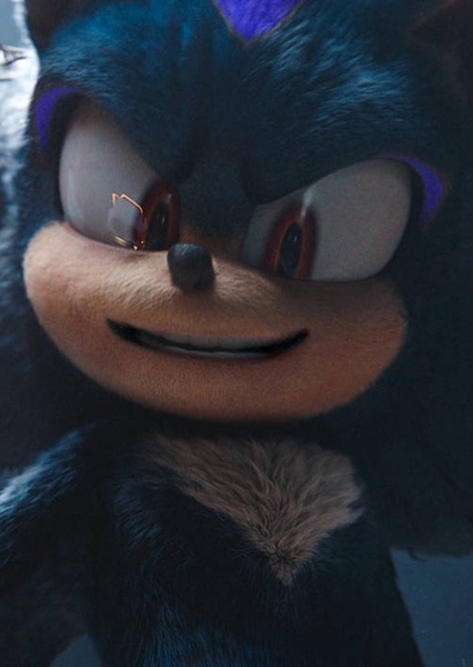 Anti-Kaleb the Hedgehog photo