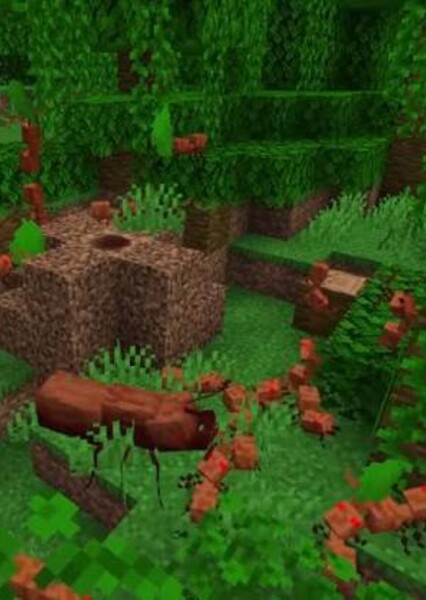 Ants (Loup-Garou UHC)