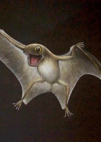 Anurognathus
