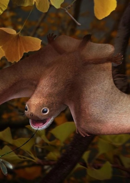 Anurognathus photo