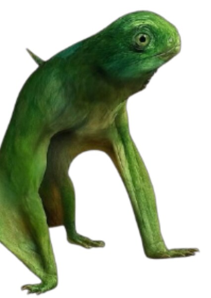 Anurognathus photo