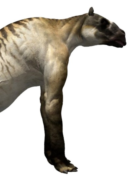 Anyclotherium
