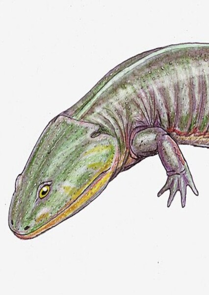 Apachesaurus