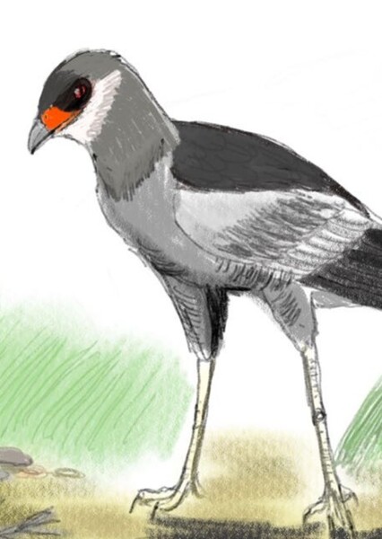Apatosagittarius
