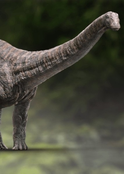 Apatosaurus photo