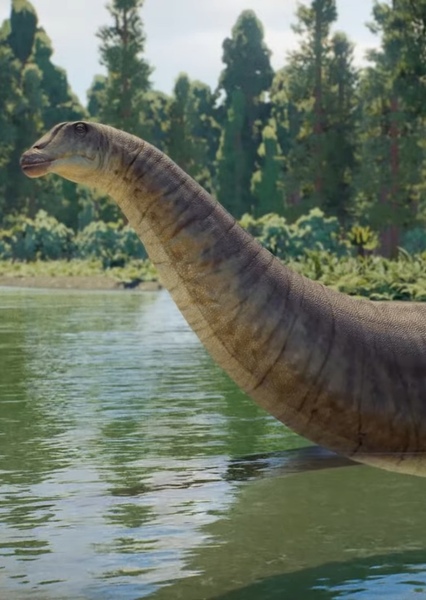 Apatosaurus photo