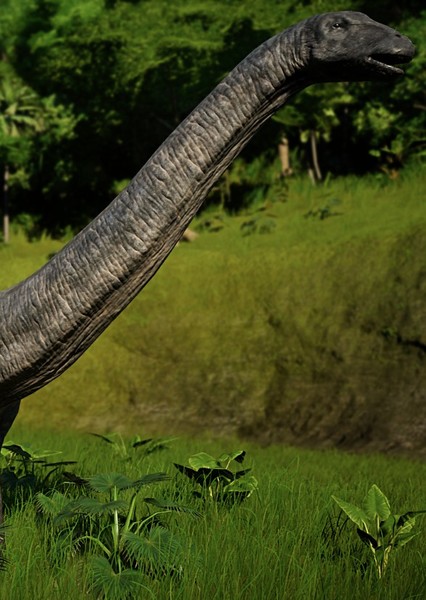 Apatosaurus photo