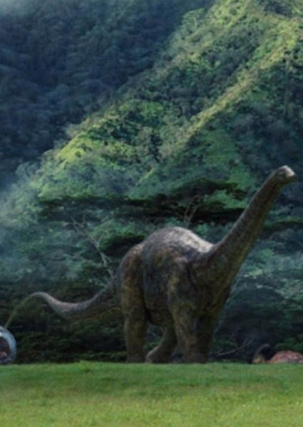 Apatosaurus photo