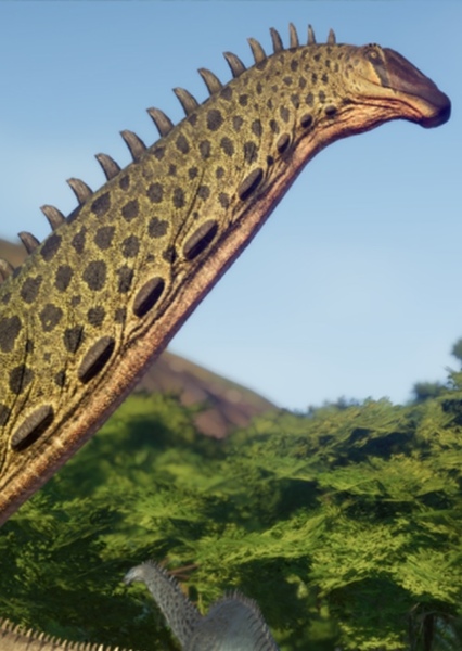 Apatosaurus photo