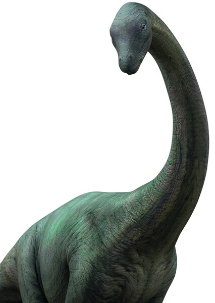 Apatosaurus (Jurassic World Alive)