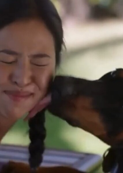 Apollo licking Amanda Sako