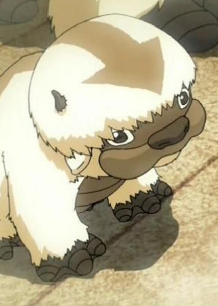 Appa (Avatar: The Last Airbender) photo