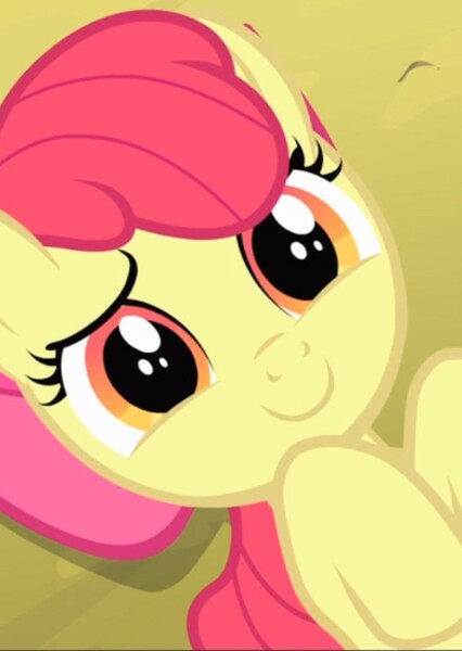 Apple Bloom