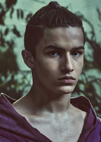 Aramis Knight photo