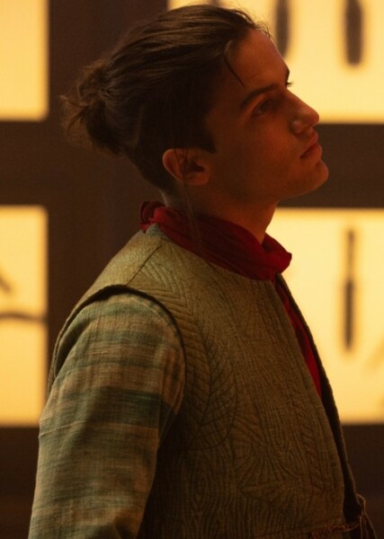 Aramis Knight photo