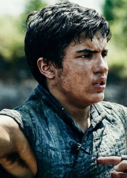 Aramis Knight