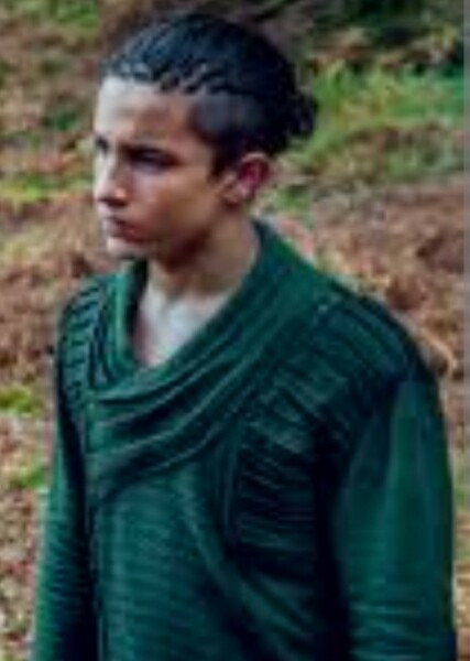 Aramis Knight photo