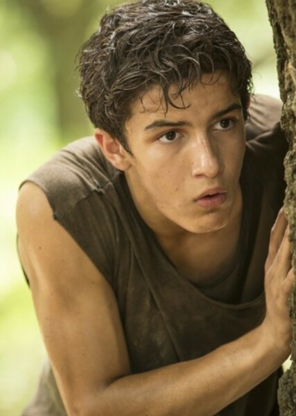 Aramis Knight photo