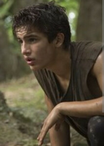 Aramis Knight photo