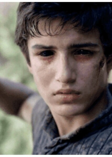 Aramis Knight photo