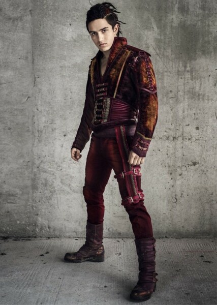 Aramis Knight photo