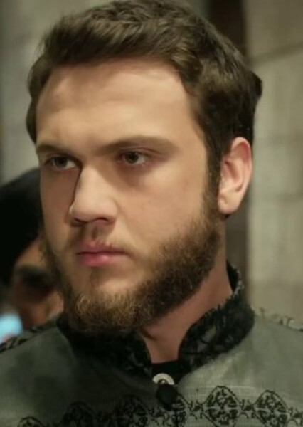 Aras Bulut Iynemli photo