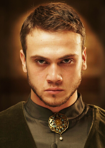 Aras Bulut Iynemli photo