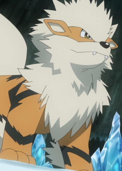 Arcanine photo