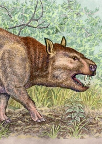 Archaenodon
