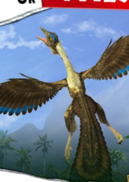 Archaeopteryx photo