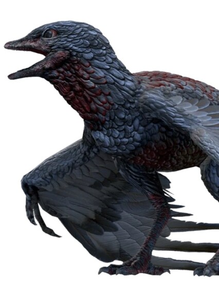 Archaeopteryx (Jurassic World Alive)