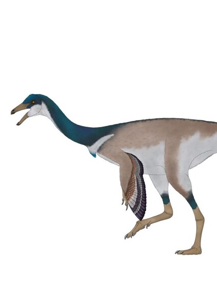 Archaeornithomimus