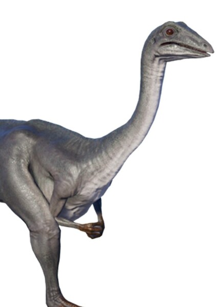 Archaeornithomimus