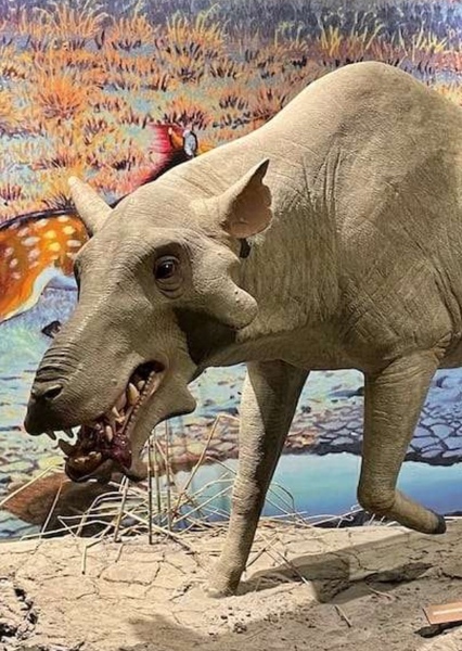 Archaeotherium photo